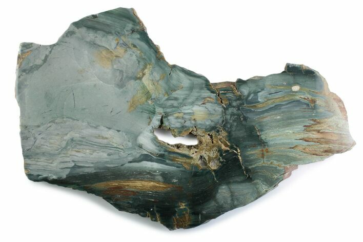 Gary Green Jasper (Larsonite) Bog Wood Slab - Oregon #377777